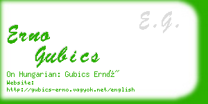 erno gubics business card